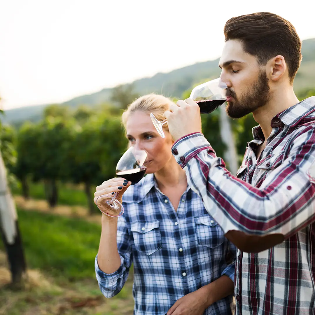 Couple dégustant un vin rouge dans les vignes, site internet pour vigneron et viticulteur à Strasbourg
